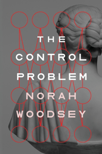 Control Problem