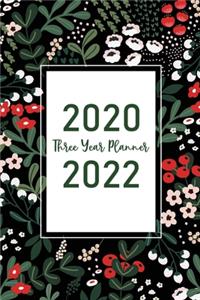 Three Year Planner 2020-2022