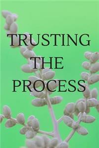 Trusting the Process