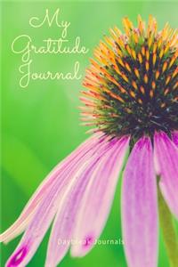 My Gratitude Journal
