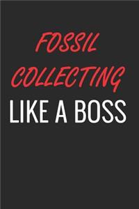 Fossil Collecting Like a Boss