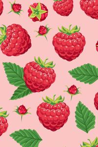 Raspberries Notebook