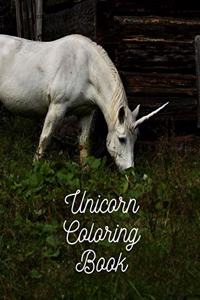 Unicorn Coloring Book
