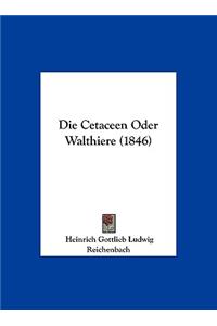 Die Cetaceen Oder Walthiere (1846)