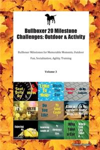 Bullboxer 20 Milestone Challenges