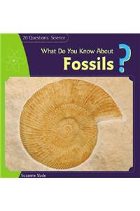 What Do You Know about Fossils?