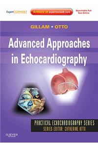 Advanced Approaches in Echocardiography
