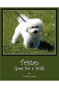 Tristan Goes for a Walk