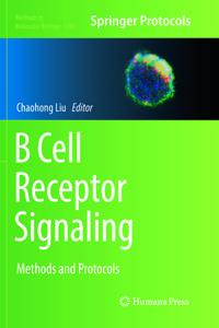 B Cell Receptor Signaling