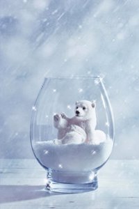Polar Bear in a Snow Globe Journal