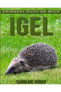 Igel