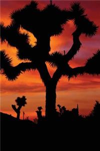 Joshua Tree Dusk Journal