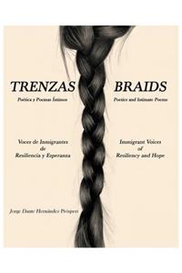 Trenzas Braids