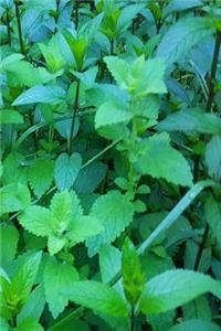 Herb Garden Journal Mint Leaves