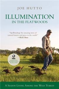 Illumination in the Flatwoods
