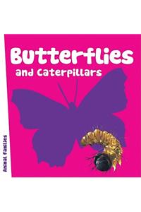 Butterflies and Caterpillars