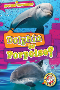 Dolphin or Porpoise?