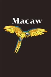 Macaw