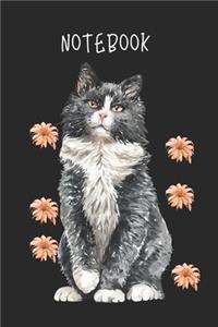 Cat notebook