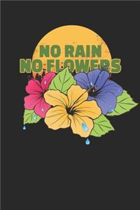 No Rain No Flowers