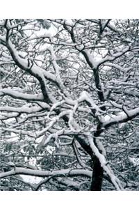 Winter Theme School Composition Book Twisted Winter Branches 130 Pages