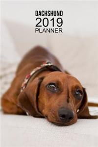 Dachshund Planner