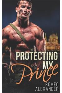 Protecting My Prince