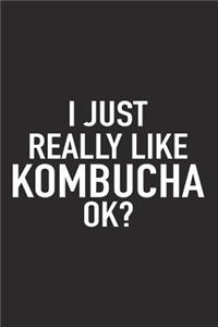 I Just Really Like Kombucha Ok?