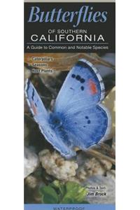 Butterflies of Southern California