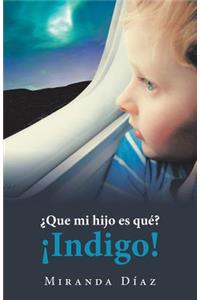 ¿Que Mi Hijo Es Qué? ¡Indigo!