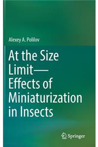 At the Size Limit - Effects of Miniaturization in Insects