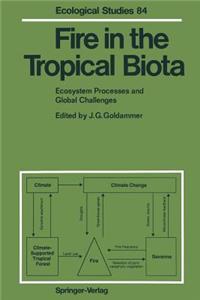 Fire in the Tropical Biota