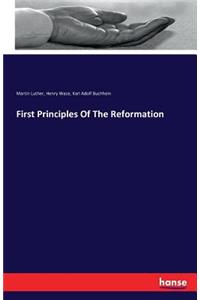 First Principles Of The Reformation