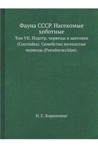 Фауна СССР. Насекомые хоботные