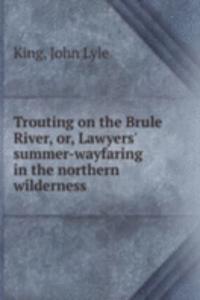Trouting on the Brule River, or, Lawyers' summer-wayfaring in the northern wilderness