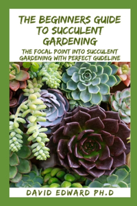 The Beginners Guide to Succulent Gardening