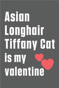 Asian Longhair Tiffany Cat is my valentine