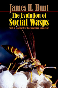 Evolution of Social Wasps