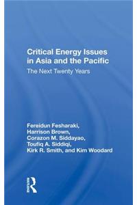 Critical Energy Issues In Asia And The Pacific: The Next Twenty Years