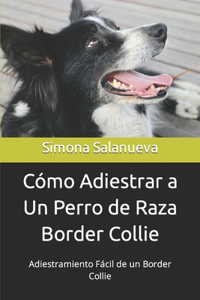 Cómo Adiestrar a Un Perro de Raza Border Collie