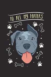 To All My Haters