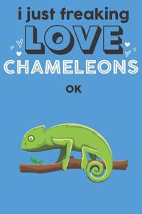 I Just Freaking Love Chameleons Ok