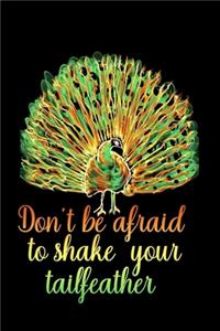 Don't be afraid to shake your tailfeather