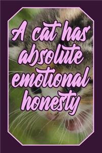 A Cat Has Absolute Emotional Honesty