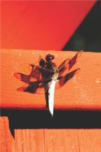 Dragonfly on Bridge Pretty Blank Lined Journal for daily thoughts notebook Lovely Lake Arrowhead Photograph