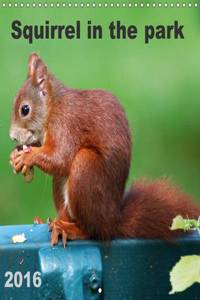 Squirrel in the park 2016