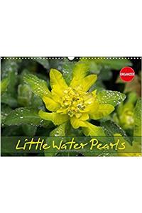 Little Water Pearls 2017