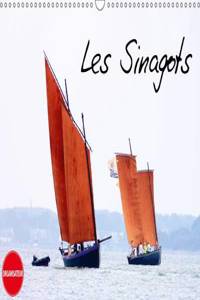Les Sinagots 2017