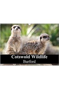 Cotswold Wildlife Burford 2018