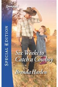 Six Weeks to Catch a Cowboy